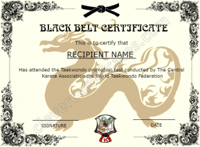Printable Martial Arts Certificate