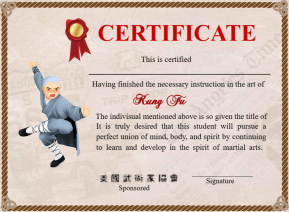 Professional Shaolin Kung Fu Certificate
